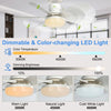 Compact Ceiling Fan Light with Remote Control