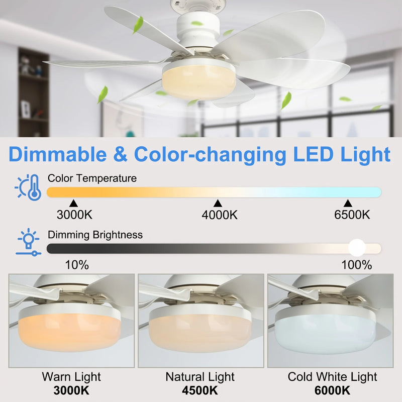 Compact Ceiling Fan Light with Remote Control