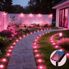 A curved stone pathway illuminated by pink LED lights in a garden setting.