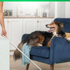 A dog is resting on a blue chair while a mop is used to clean the floor.