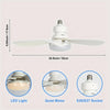 Compact Ceiling Fan Light with Remote Control
