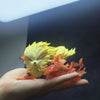 Arcanine & Growlithe PVC Figurine Set