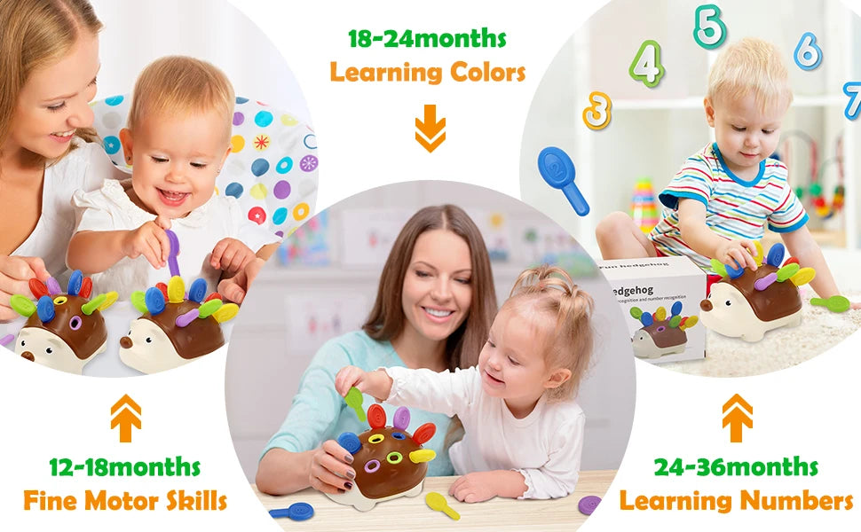 Montessori hedgehog sensory toys for toddlers showing fine motor skills and learning colors and numbers