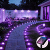 A curved stone pathway illuminated by purple solar LED lights in a garden setting.