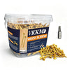 A clear plastic container holds a bulk pack of gold-colored rust-resistant star drive wood screws with T25 bits.
