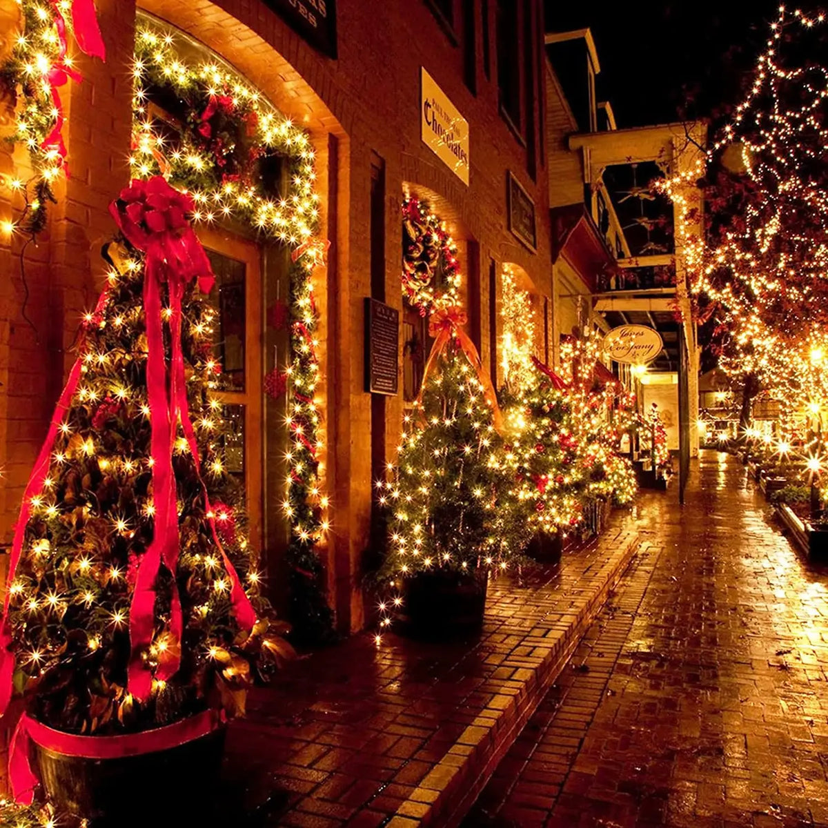 A row of Christmas trees decorated with warm string lights lines a brick pathway at night.