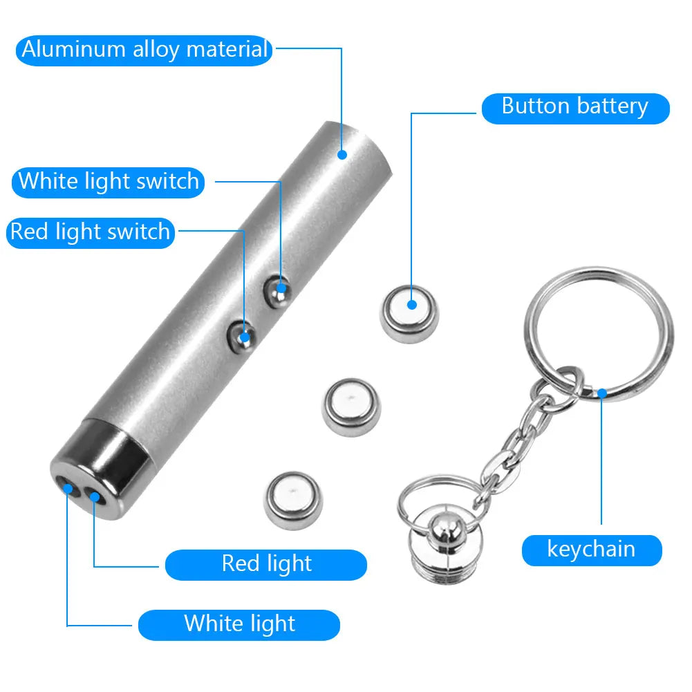 Pocket Laser Pointer & LED Flashlight Keychain