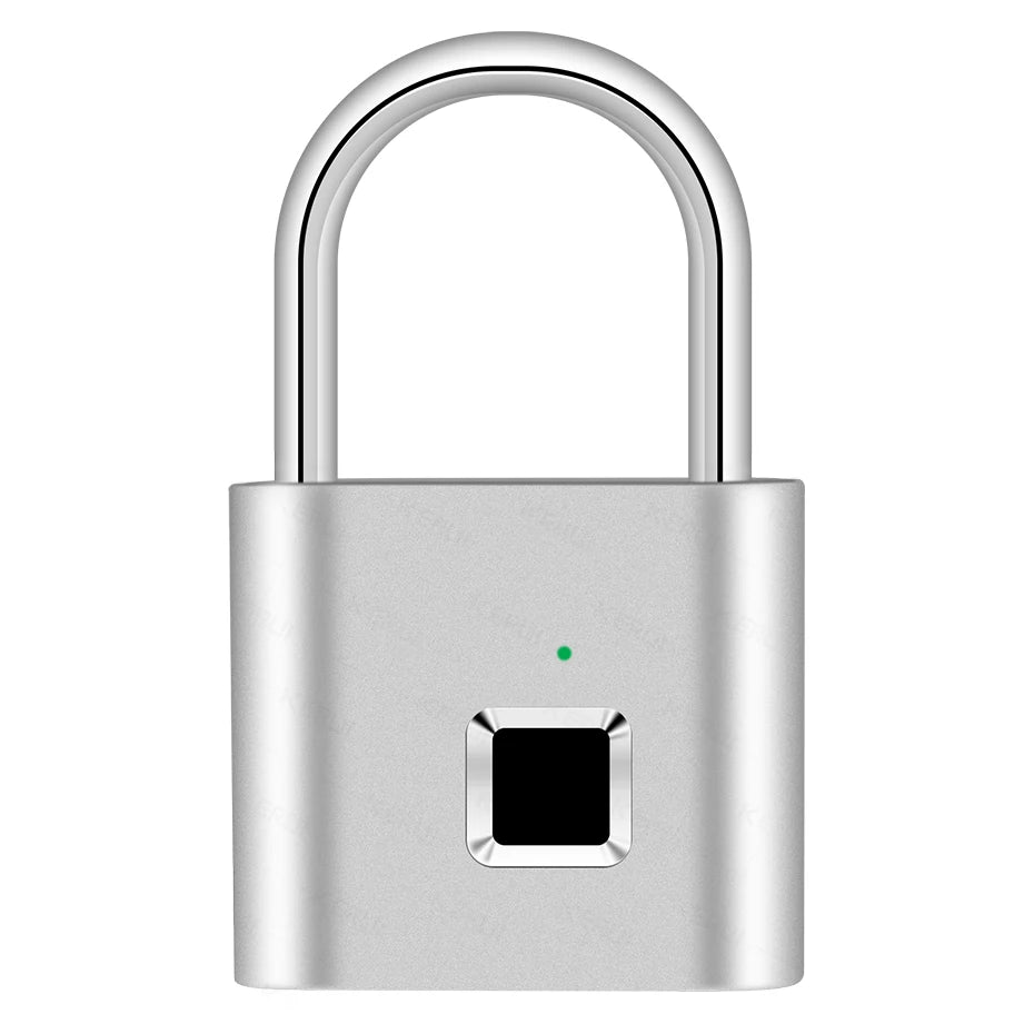 Silberner Fingerabdruck-Schlüssel-Käfig mit runder Bügel und quadratischer Leseeinheit.