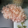 Preserved Hydrangea Flower Heads for Crafts and Home Decor