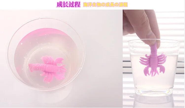 A pink magical water-growing ocean animal toy is visible in a clear glass of water.