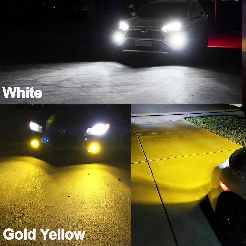 Comparison of white and gold yellow CSP LED fog light bulbs illuminating a surface.