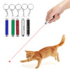 Pocket Laser Pointer & LED Flashlight Keychain