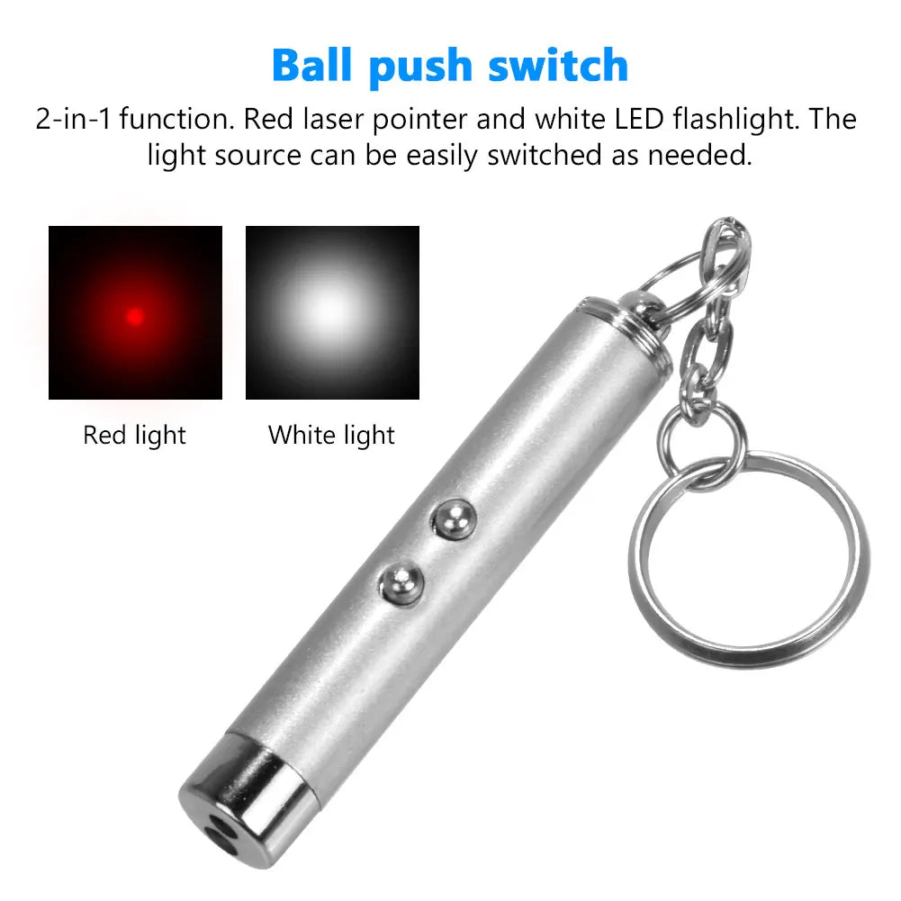 Pocket Laser Pointer & LED Flashlight Keychain