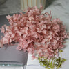 Preserved Hydrangea Flower Heads for Crafts and Home Decor