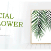 Family Quote Canvas Wall Art – Minimalist Green Leaf Print