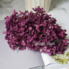 Preserved Hydrangea Flower Heads for Crafts and Home Decor