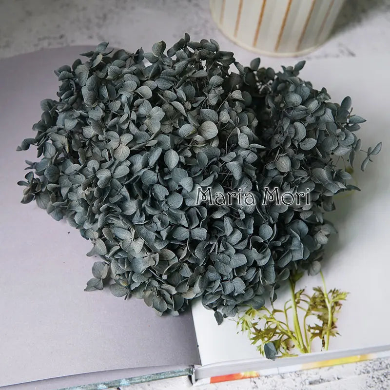 Preserved Hydrangea Flower Heads for Crafts and Home Decor