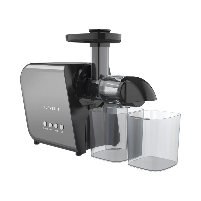 250W Cold Press Slow Juicer
