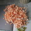 Preserved Hydrangea Flower Heads for Crafts and Home Decor