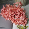 Preserved Hydrangea Flower Heads for Crafts and Home Decor