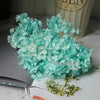 Preserved Hydrangea Flower Heads for Crafts and Home Decor