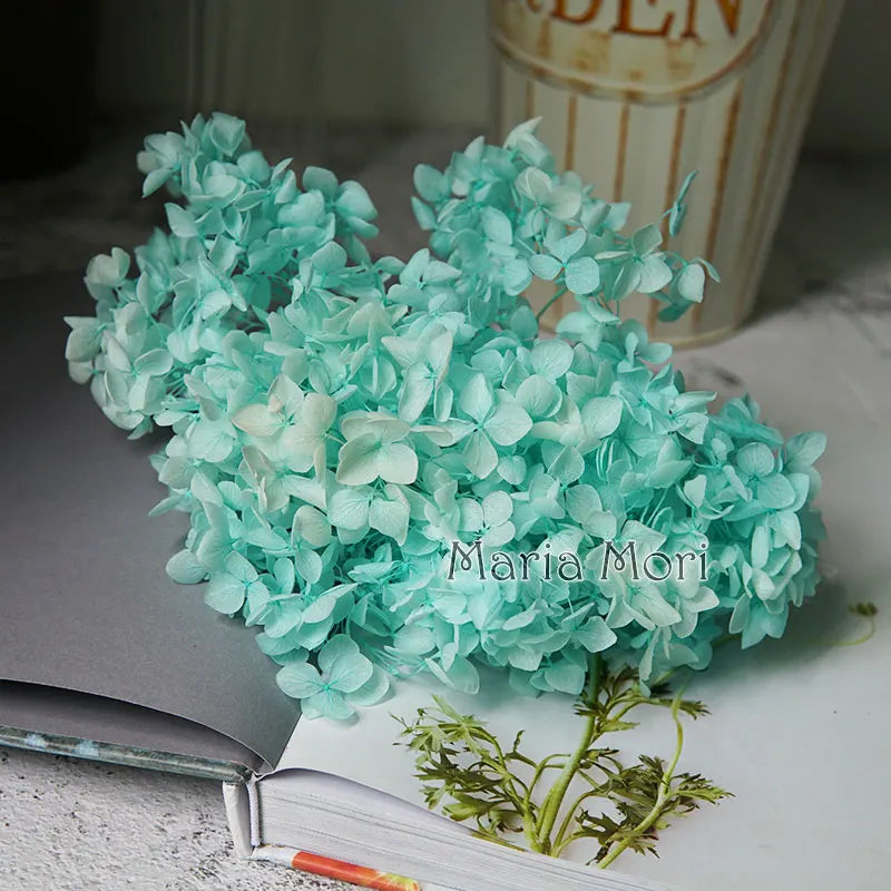 Preserved Hydrangea Flower Heads for Crafts and Home Decor