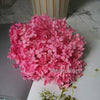 Preserved Hydrangea Flower Heads for Crafts and Home Decor