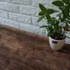 A potted green plant sits on a dark wooden table next to a logo for Dimoon.