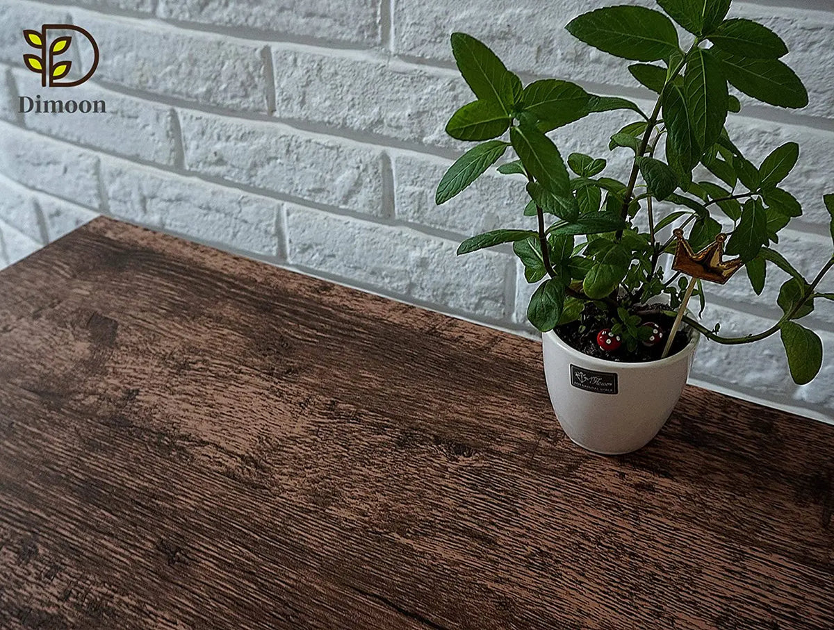 A potted green plant sits on a dark wooden table next to a logo for Dimoon.