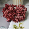 Preserved Hydrangea Flower Heads for Crafts and Home Decor
