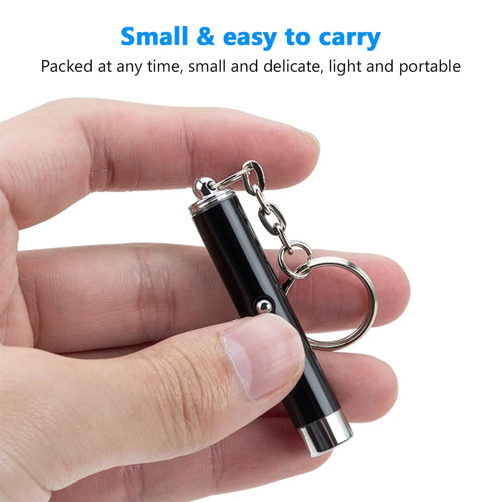 Pocket Laser Pointer & LED Flashlight Keychain