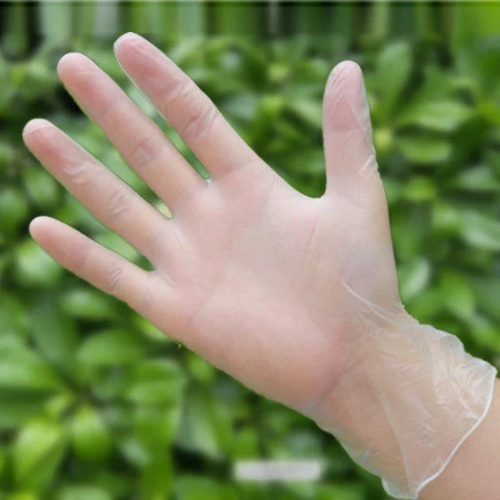 A hand wearing a disposable clear PVC glove against a blurred green background.
