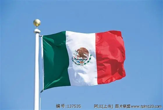 Mexico National Flag Banner - Durable Polyester