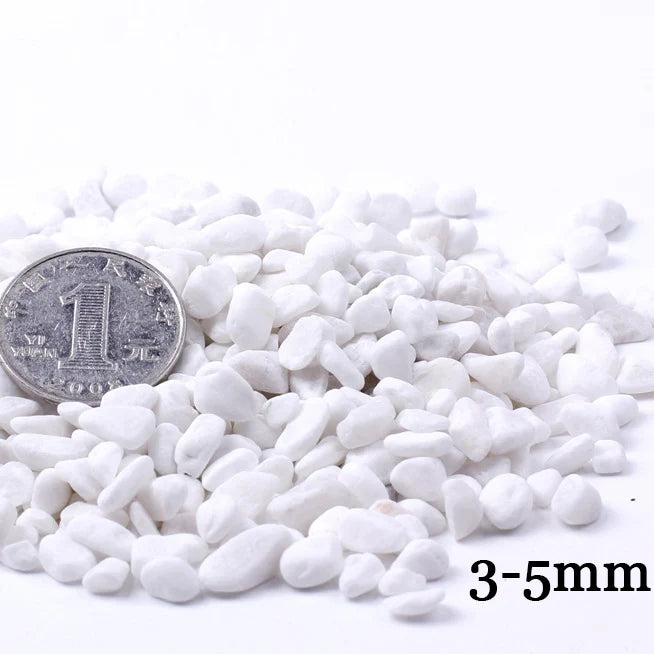 White decorative stone pebbles measuring 3-5mm for terrariums and aquariums