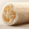 A roll of natural loofah scrubber sponges showing the porous texture and light tan color.