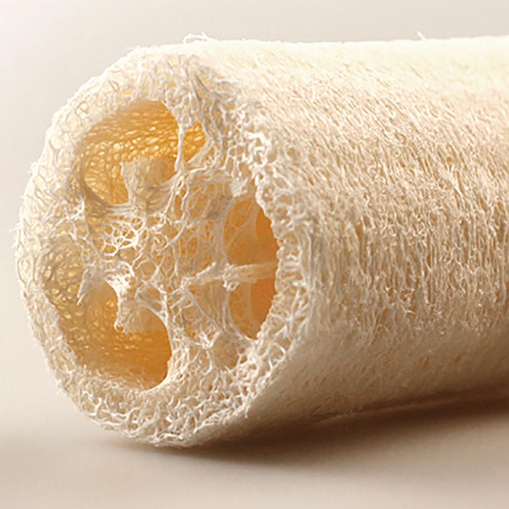 A roll of natural loofah scrubber sponges showing the porous texture and light tan color.