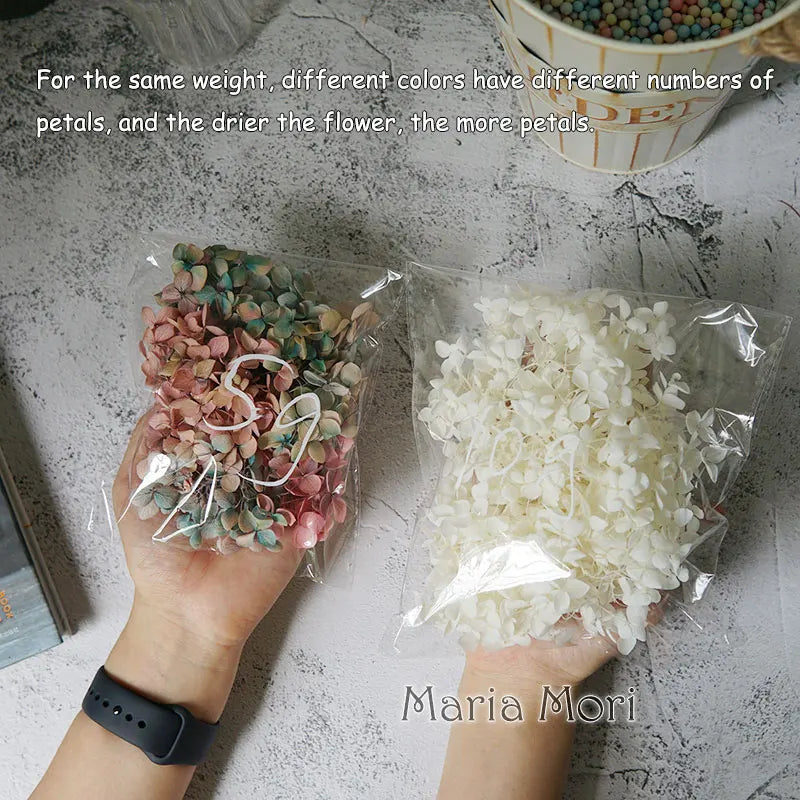 Preserved Hydrangea Flower Heads for Crafts and Home Decor