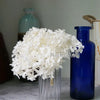 Preserved Hydrangea Flower Heads for Crafts and Home Decor