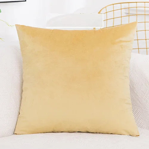 A square, solid beige velvet decorative cushion cover resting on a white sofa.