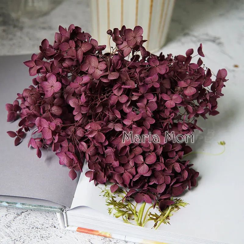 Preserved Hydrangea Flower Heads for Crafts and Home Decor
