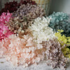 Preserved Hydrangea Flower Heads for Crafts and Home Decor