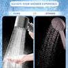 Filtered Shower Head with Handheld Sprayer