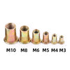 Zinc-Plated Carbon Steel Rivet Nuts Assortment