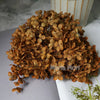 Preserved Hydrangea Flower Heads for Crafts and Home Decor