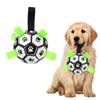 Interactive Fetch Ball with Grab Tabs for Dogs