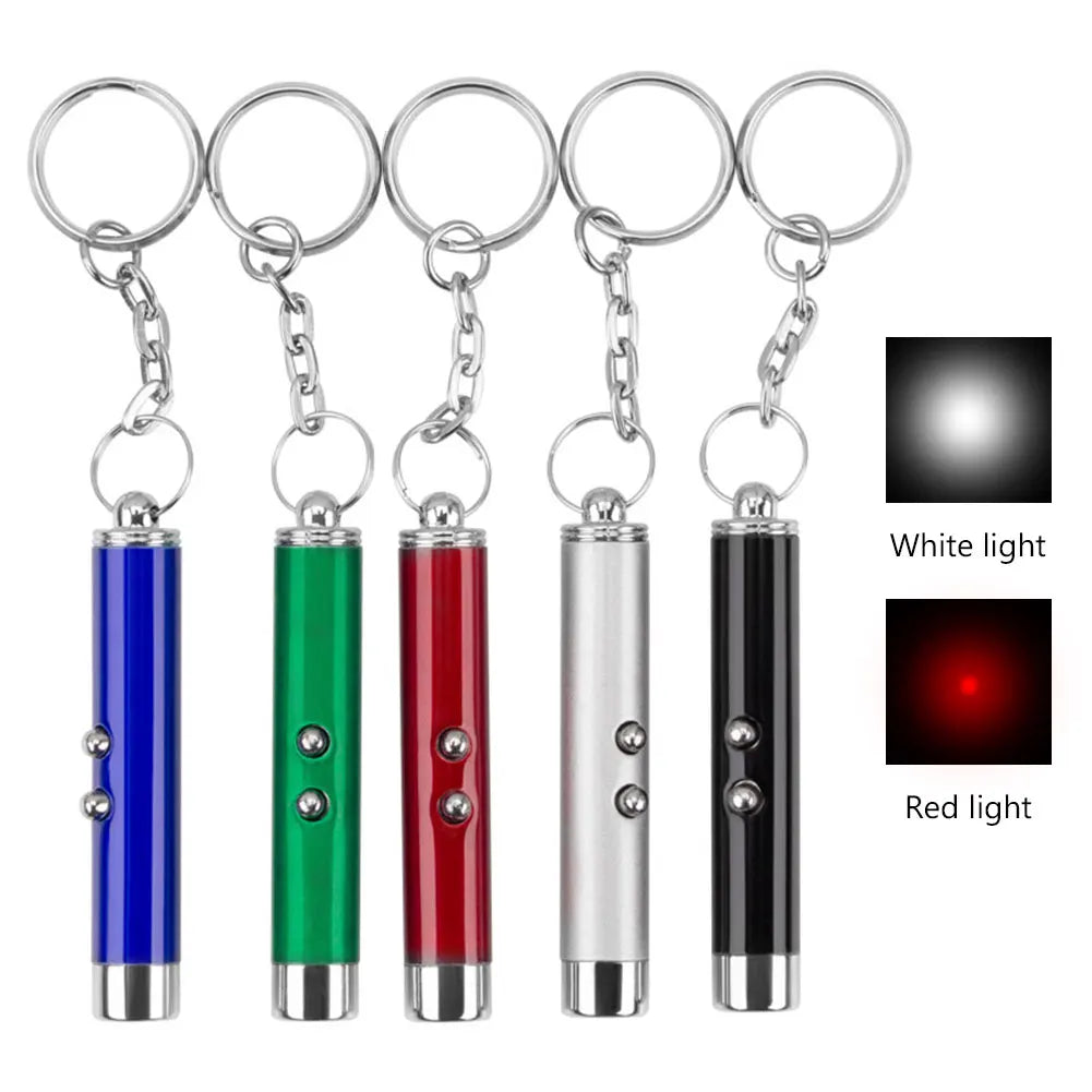 Pocket Laser Pointer & LED Flashlight Keychain