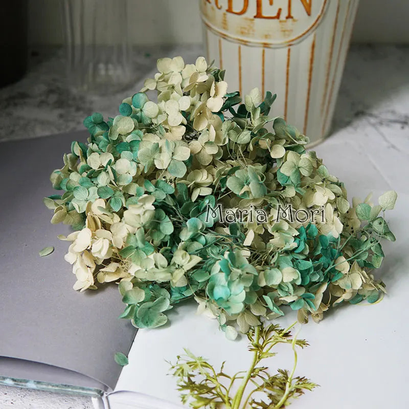 Preserved Hydrangea Flower Heads for Crafts and Home Decor