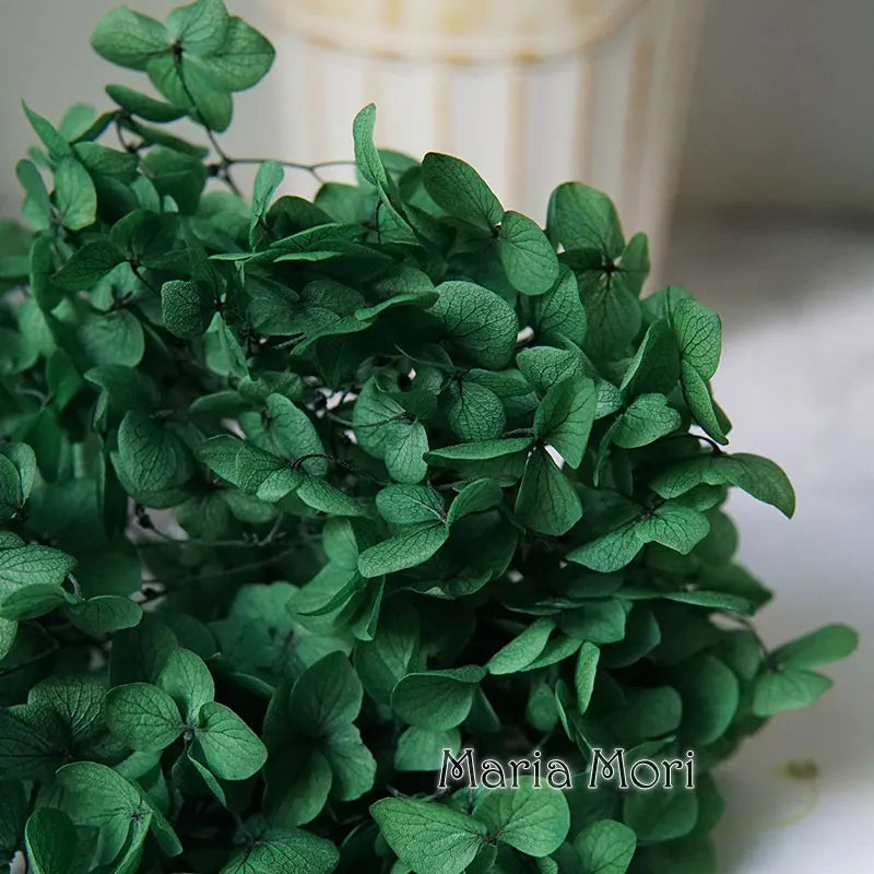 Preserved Hydrangea Flower Heads for Crafts and Home Decor