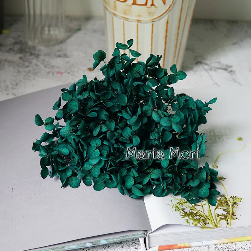 Preserved Hydrangea Flower Heads for Crafts and Home Decor