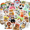 Funny Cat Sticker Pack for Laptops, Water Bottles & More